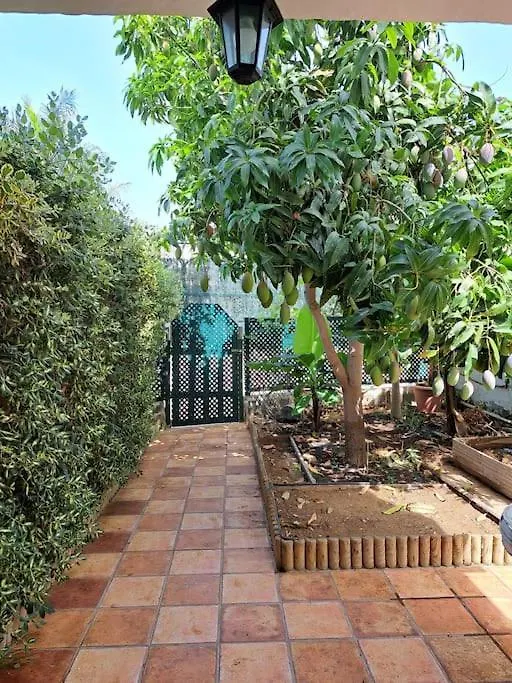 Apartment Bungalow El Caserio De Merengue San Bartolome de Tirajana